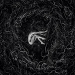 the album cover for FVNERALS - Let The Earth Be Silent [Digipak]