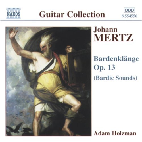 the album cover for Adam Holzman - Bardenklange Op 13: Bardic Sounds