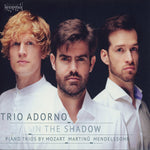 the album cover for Mendelssohn / Trio Adorno - In The Shadow