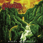 The Carnation - WHERE DEATH LIES (Vinyl)