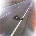 Para Tracy Hyde - Ethernity (Vinilo)