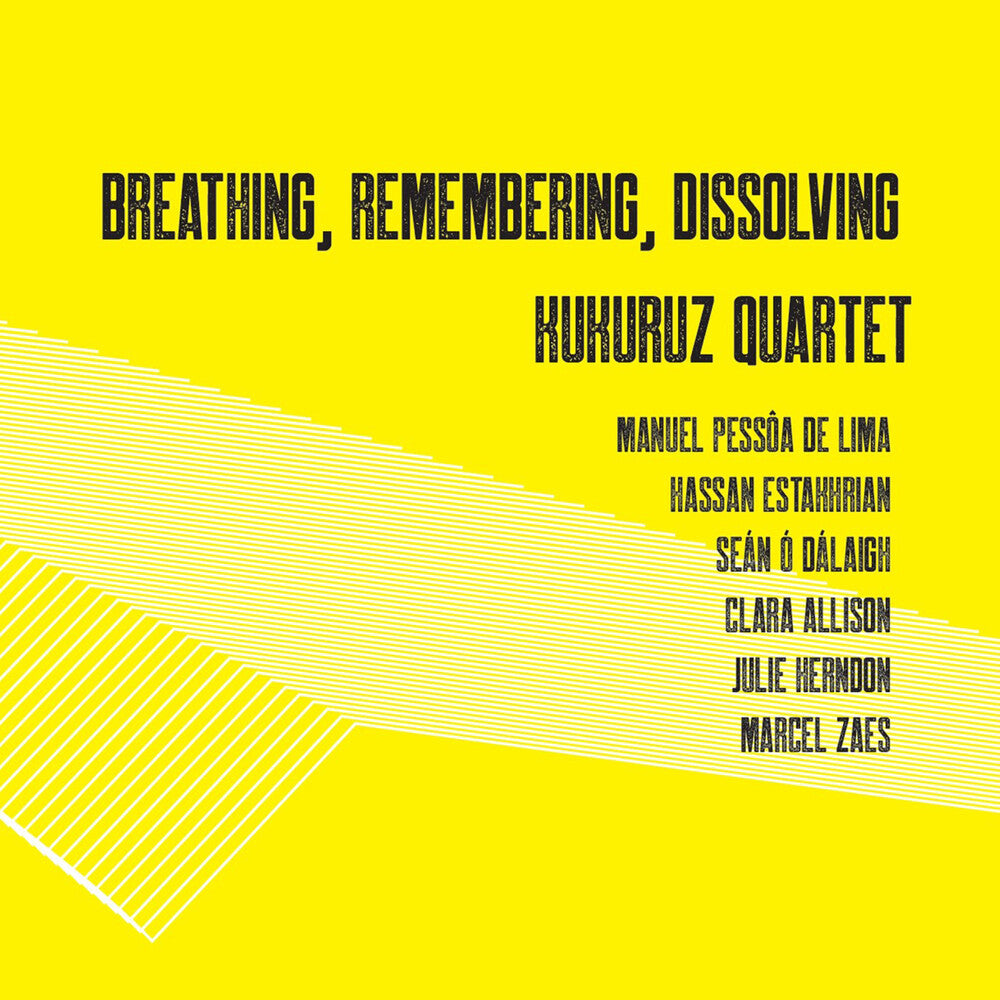 the album cover for Allison / Dalaigh / Kukuruz Quartet - Breathing Remembering Dissol