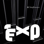 DJ Shufflemaster - EXP (Vinilo)