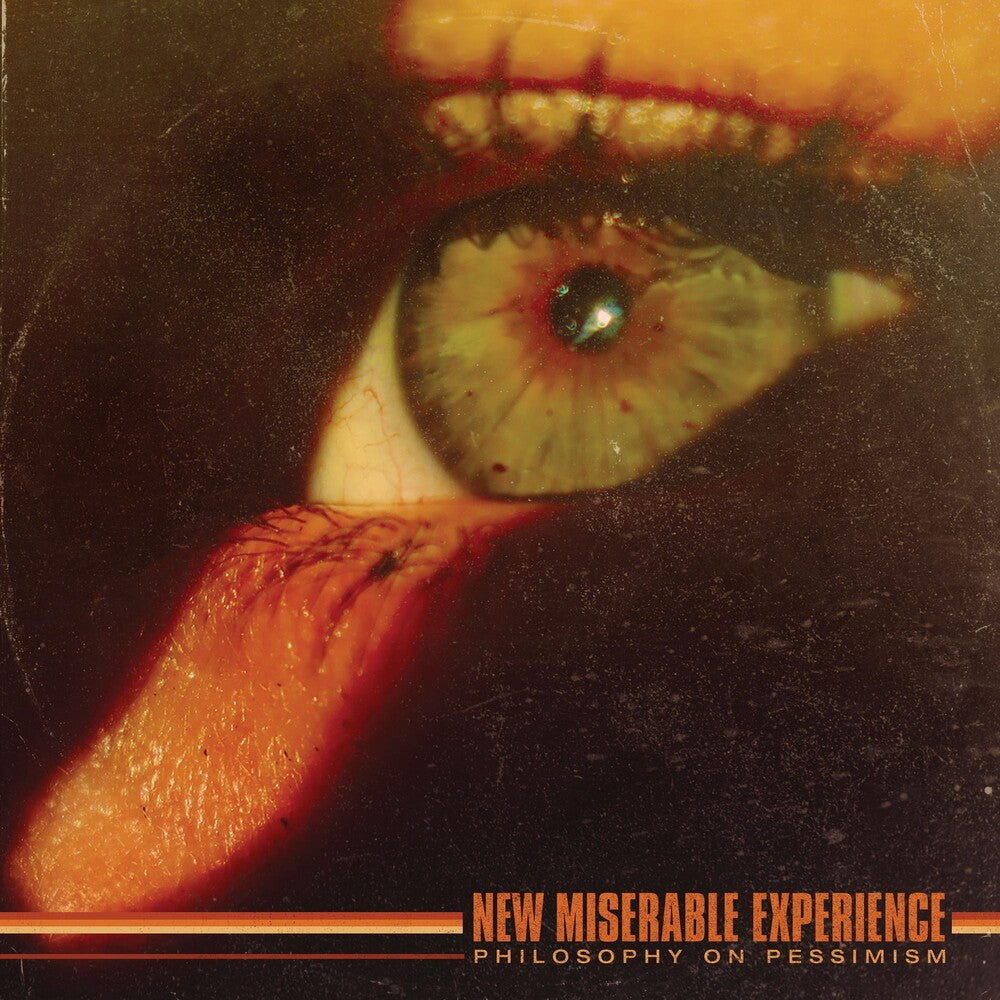 the album cover for New Miserable Experience - Philosophy On Pessimism