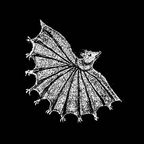 Xiu Xiu - Ignorar el dolor (CD)