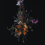 the album cover for Big/Brave - Nature Morte [Colored Vinyl] [Limited Edition] [Indie Exclusive] [Download Included]