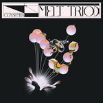 the album cover for Melt Trio - Consumer