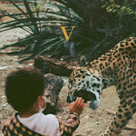 アンノウン・モータル・オーケストラ - V (CD)