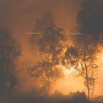 Watchhouse - Blindfaller (CD)