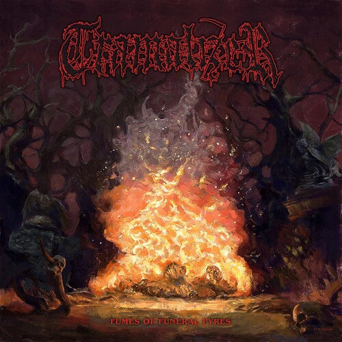 Tramalizer - FUMES OF FUNERAL PYRES (Vinyl)