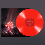 Enter Shikari - A Kiss for the Whole World (Vinyl)