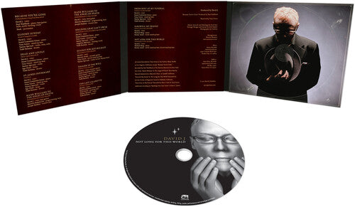デヴィッド・J - Not Long For This World (CD)