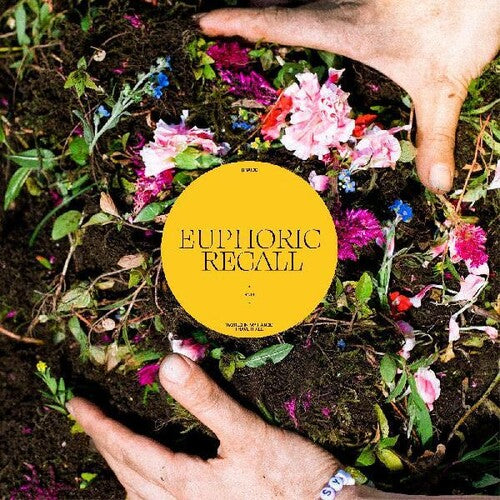 Braids - Euphoric Recall (Vinyl)
