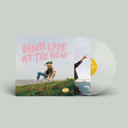 マーティン・ルーク・ブラウン - Damn, Look at the View ! (レコード)