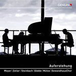 the album cover for Mahler / Meyer / Zoller - Auferstehung