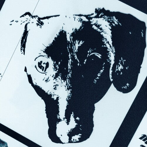 Michael Orchestra Leonhart - Denial (Original Soundtrack) (Vinyl)