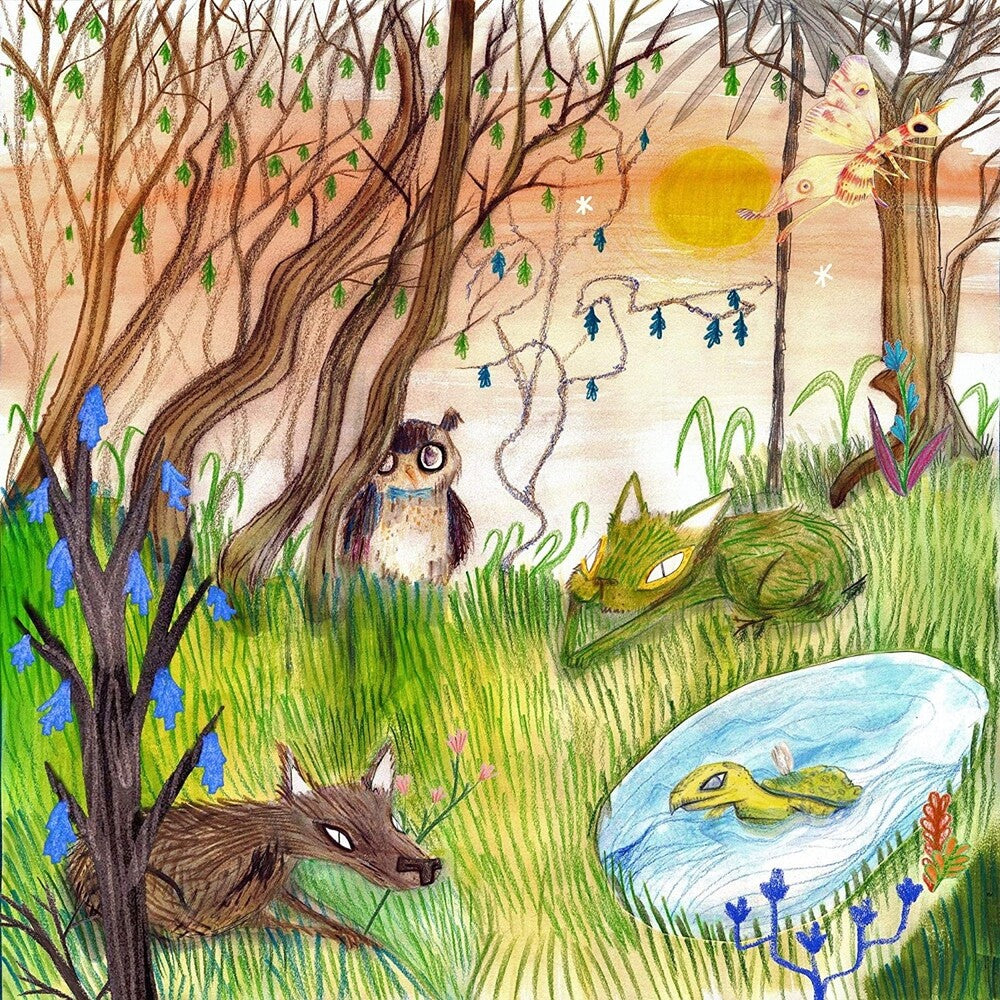 the album cover for Cavetown - Animal Kingdom [Clear Vinyl]