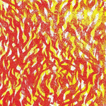 the album cover for The Bug - Fire [Indie Exclusive Limited Edition Yellow / Red 2LP]