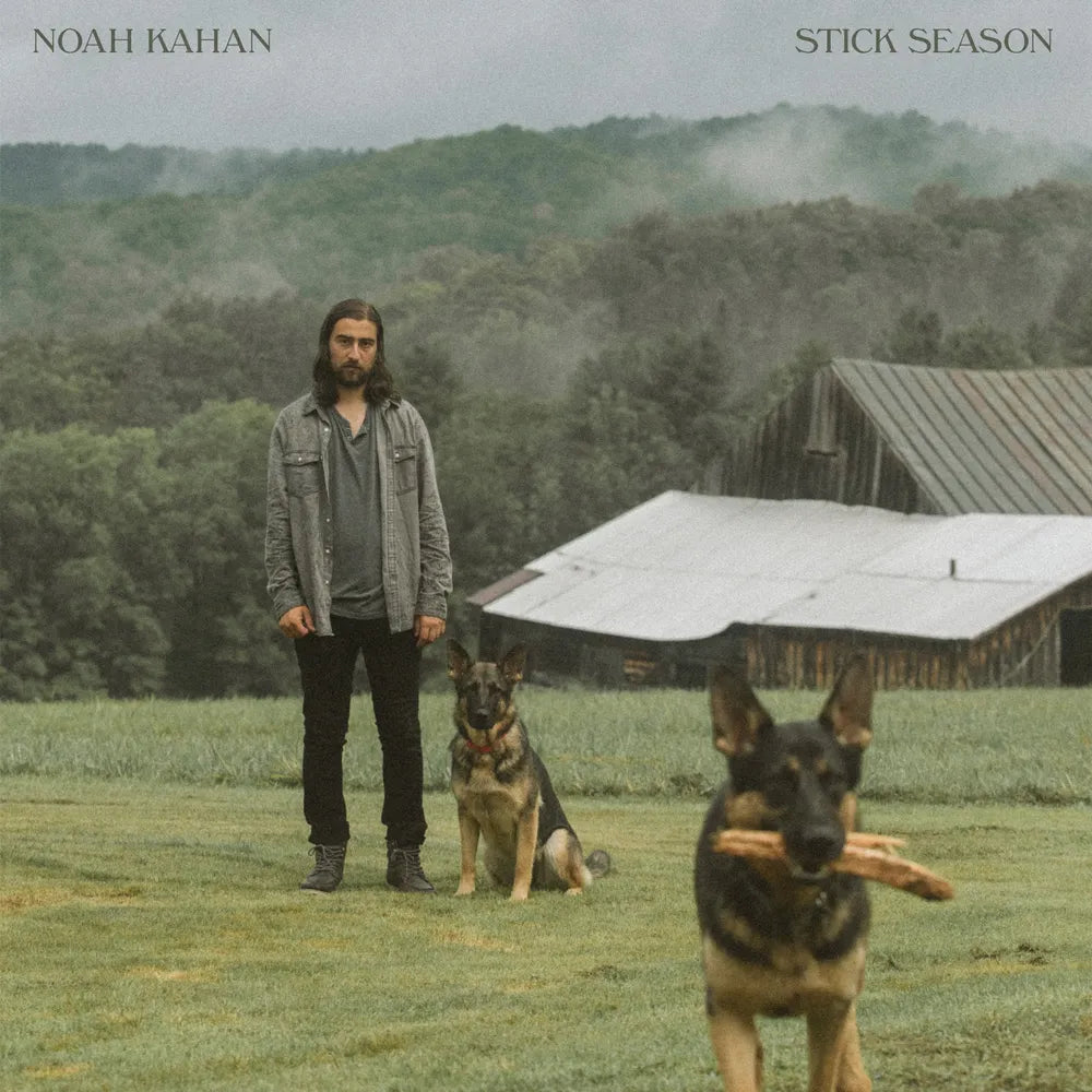 the album cover for Noah Kahan - Stick Season [Indie Exclusive Limited Edition Brown 2LP]