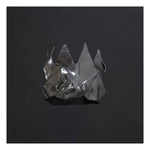 the album cover for Che Aimee Dorval - The Crowned [Indie Exclusive Limited Edition LP]