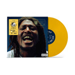 the album cover for AmirSaysNothing - We Are Who We Say We Are [Golden Yellow]