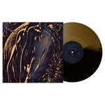 the album cover for Commoner - Former Self [Black Ice / Gold]