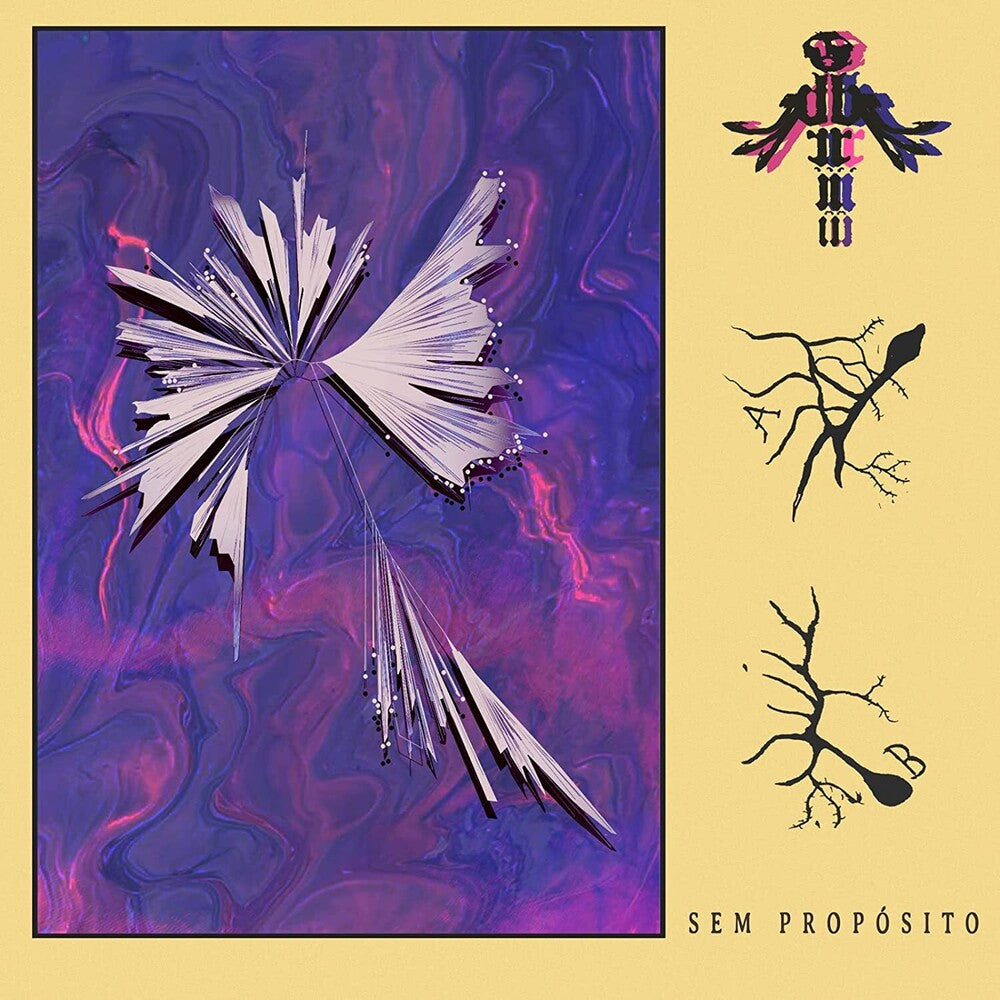 the album cover for Brii - Sem Proposito