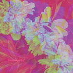 Flatwaves - Numbra (Vinyl)