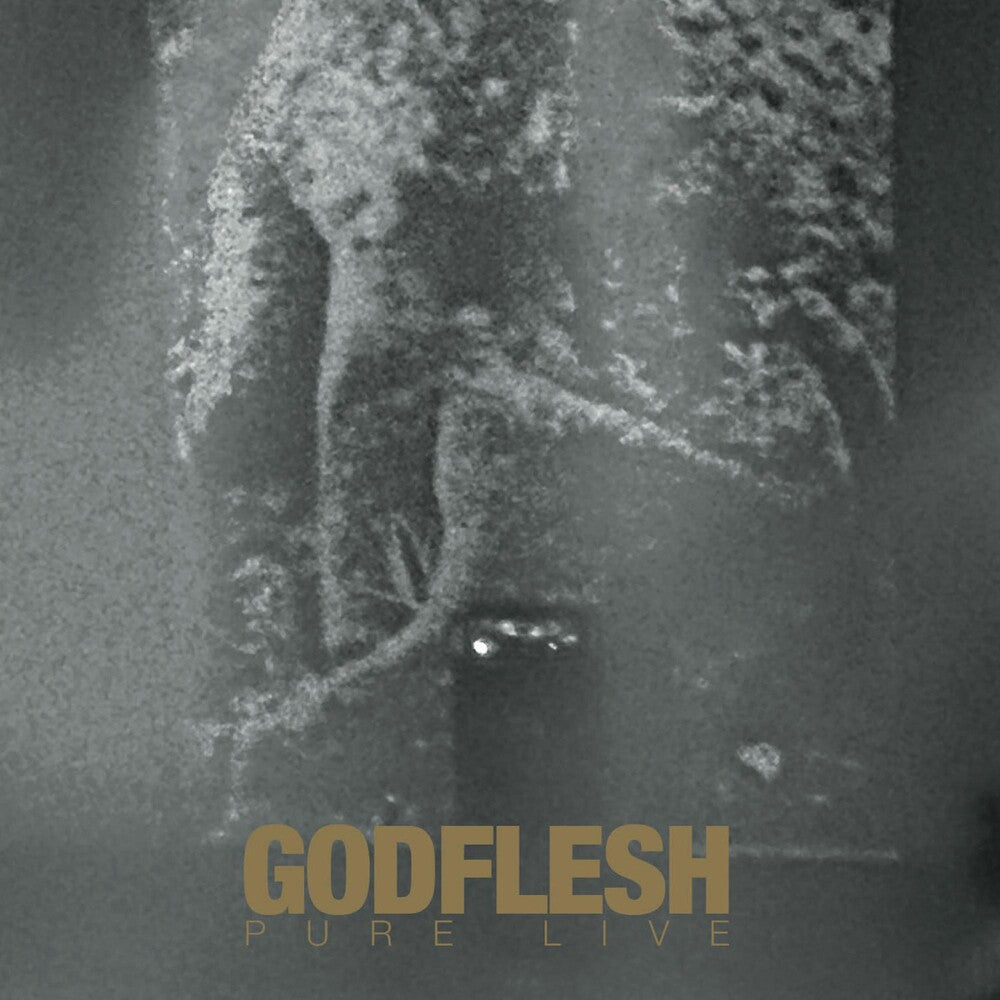 the album cover for Godflesh - Pure: Live (Blk) [Colored Vinyl] (Gol) (Wht) (Spla) (Uk)