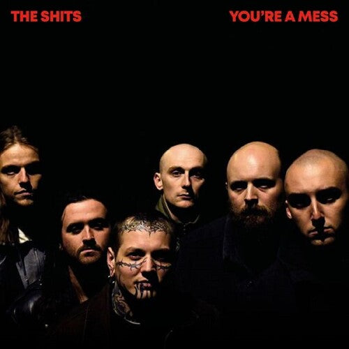 Shits - You're A Mess（レコード）