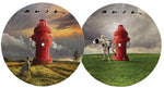 Rush - Signals (40th Anniversary) (Vinyl)