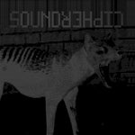 Sound Cipher - All That Syncs Must Diverge (Vinyl)