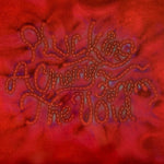 Cecile Believe - Plucking A Cherry From The Void - Clear (Vinyl)