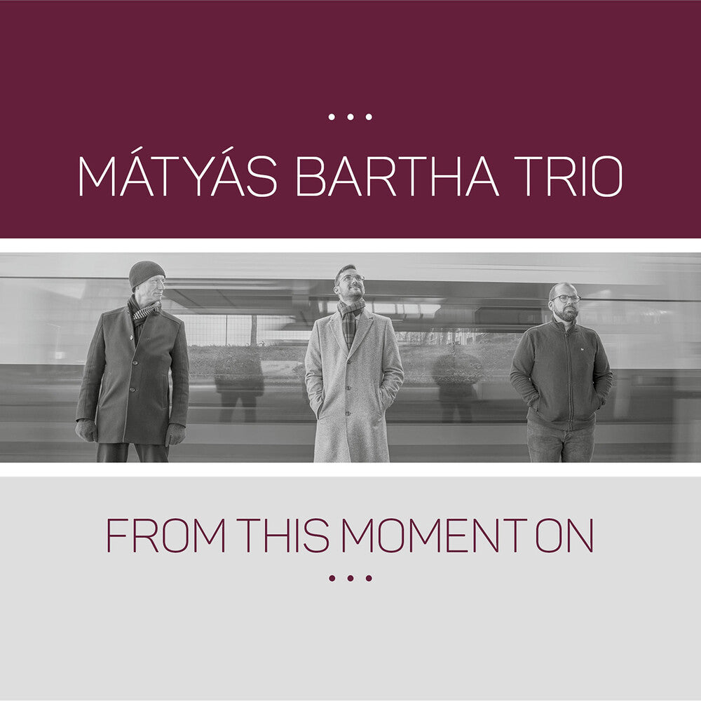 the album cover for Matyas Bartha - From This Moment On