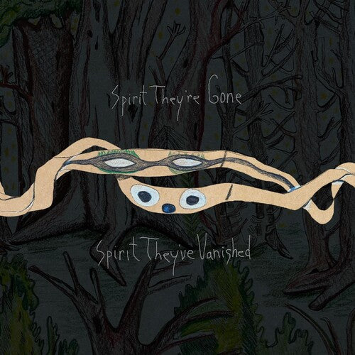 Animal Collective - Espíritu, se han ido, espíritu, han desaparecido (Vinilo)