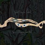 Animal Collective - Espíritu, se han ido, espíritu, han desaparecido (Vinilo)