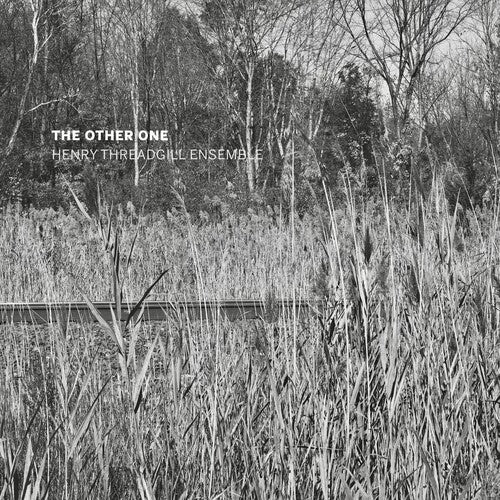 Henry Threadgill Ensemble - The Other One (CD)