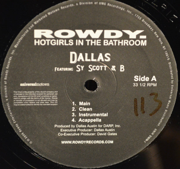 The Dallas Austin Experience Featuring Sy Scott & B Star : Hotgirls In The Bathroom (12", Promo)