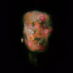 the album cover for Lanterns On The Lake - Versions Of Us