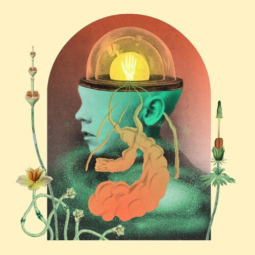 Salami Rose Joe Louis - Akousmatikous (Vinilo)