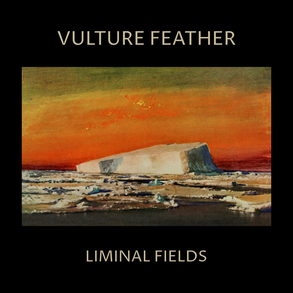 the album cover for Vulture Feather - Liminal Fields [Bone LP]