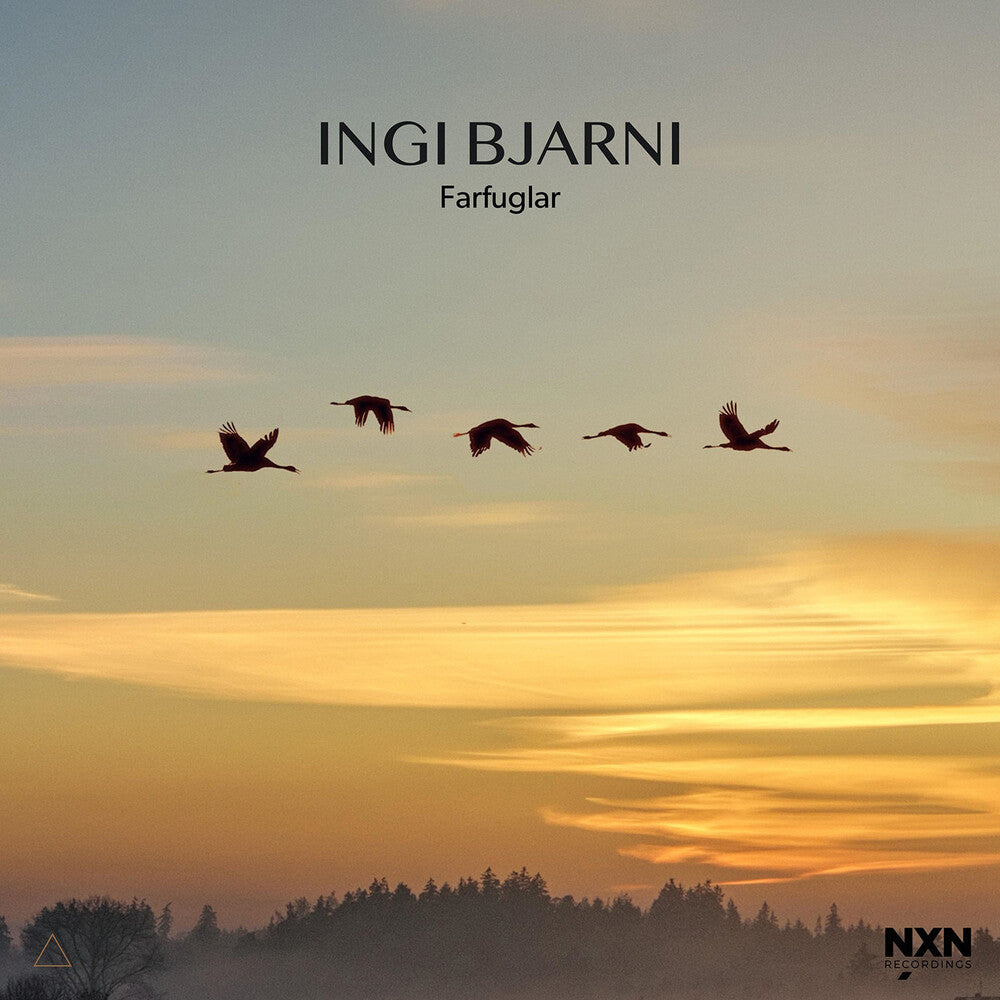 the album cover for Ingi SkulasonBjarni - Farfuglar