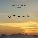 the album cover for Ingi SkulasonBjarni - Farfuglar