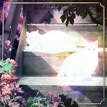 the album cover for Scary Jokes - Retinal Bloom