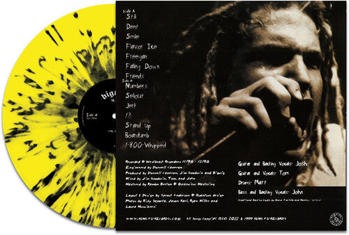 Bigwig - Stay Asleep - Yellow/black Splatter (Vinyl)
