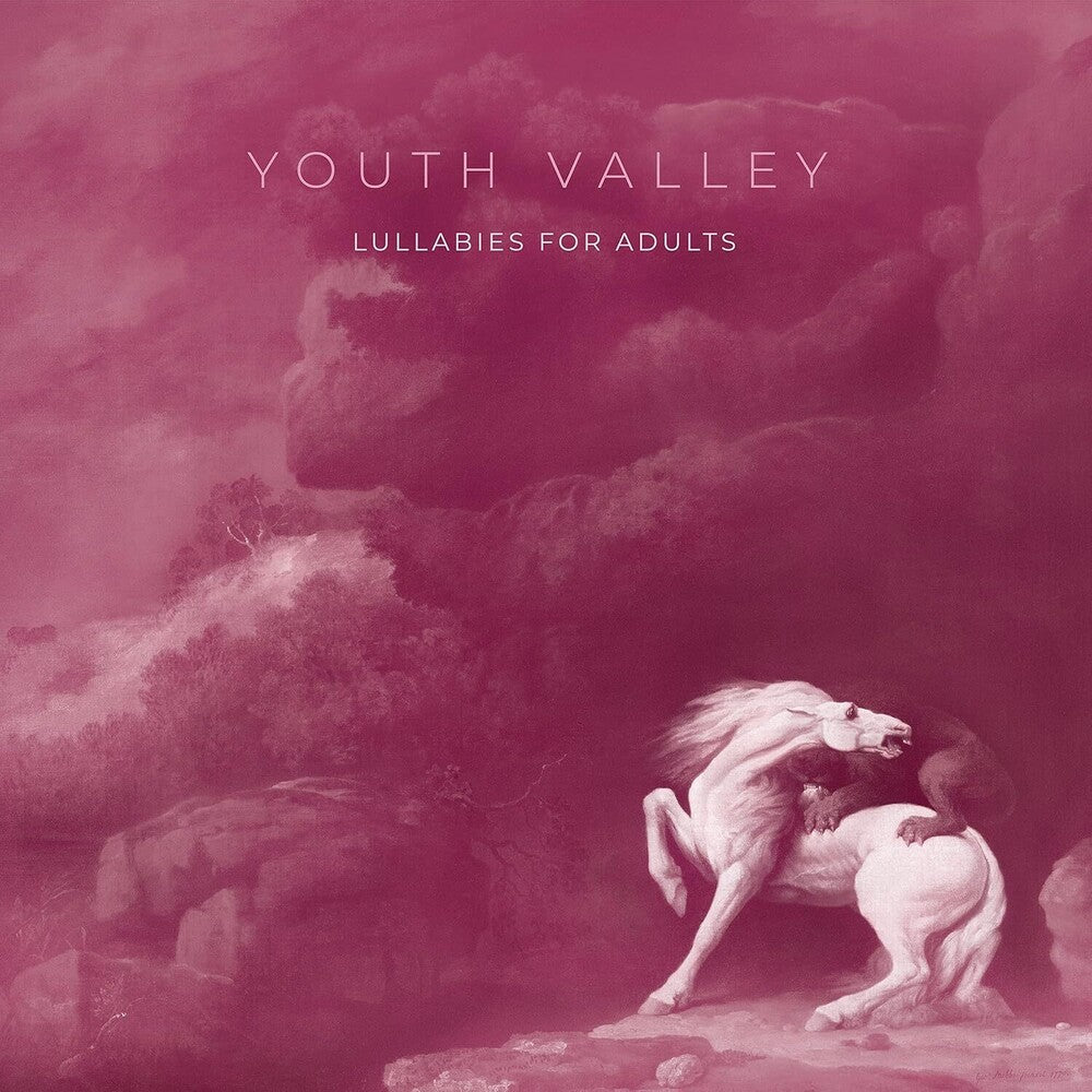 the album cover for Youth Valley - Lullabies For Adults