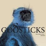 the album cover for Godsticks - This Is What A Winner Looks Like [LP]