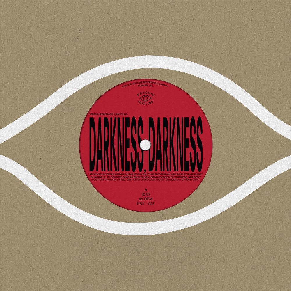 the album cover for Kieran Hebden& Tyler,William - Darkness, Darkness / No Services