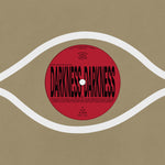 the album cover for Kieran Hebden& Tyler,William - Darkness, Darkness / No Services