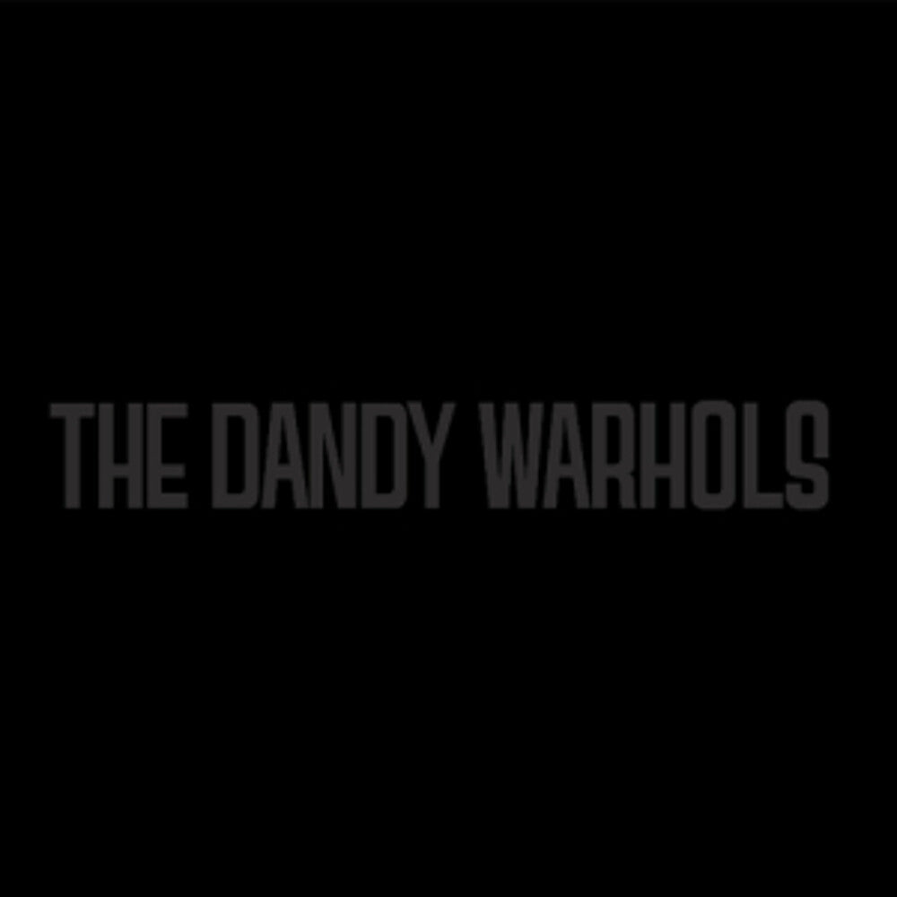 the album cover for The Dandy Warhols - Black Album